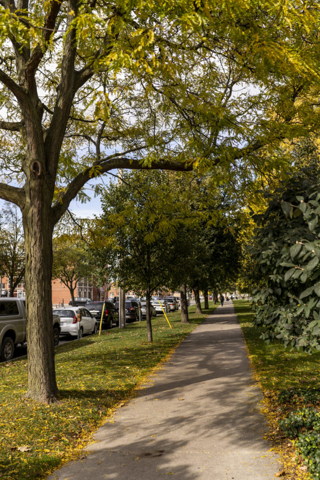 Sidewalk downtown